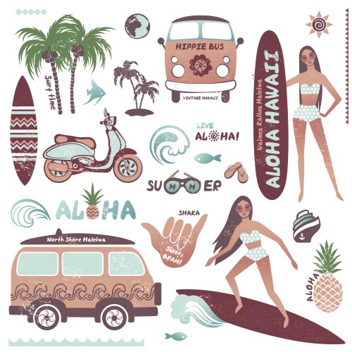 Vintage Hawaiian Summer Surf Icons Vector Image