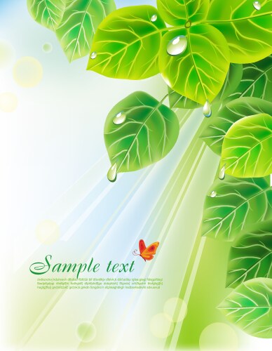 Green leaves background with water drops Vector Image
