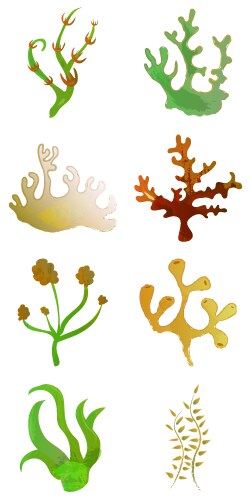 set of watercolor seaweed and corals isolated vector