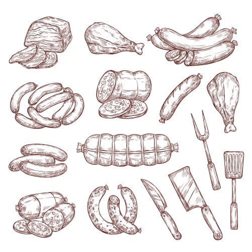 Meat & Sausage Collection Vector Image