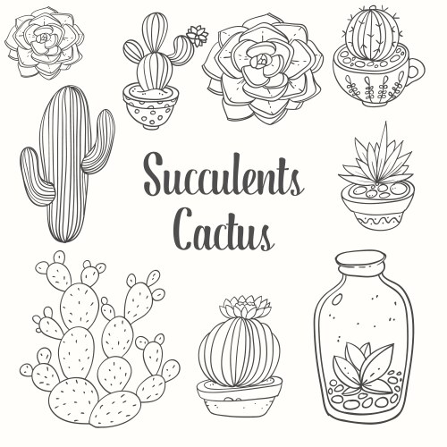 Hand drawn succulent plants set Royalty Free Vector Image