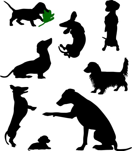 Dachshund Silhouettes Vector Image