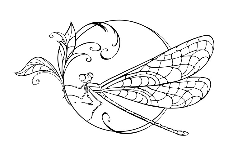 Sitting dragonfly in circle vector image