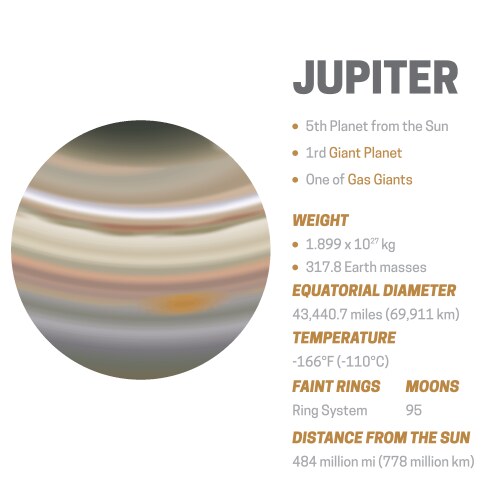 Jupiter Diagram Vector Images (91)