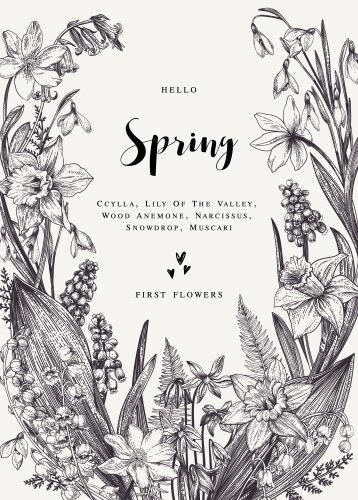 Bouquet with spring flowers Royalty Free Vector Image
