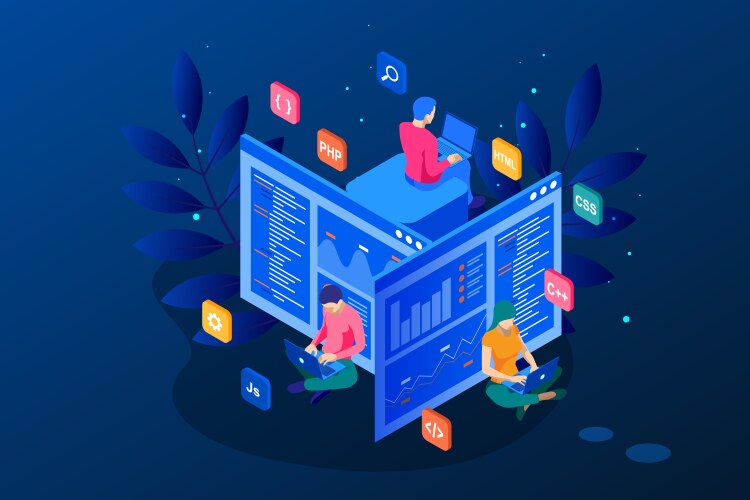 Isometric Programmer Coding Web Project vector image