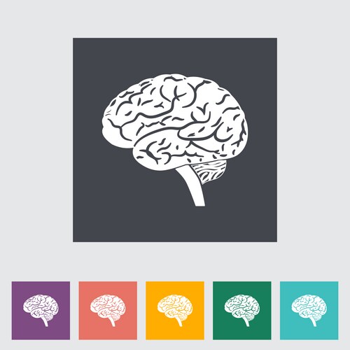 Human Anatomy Icon Set – Royalty-Free Vector | VectorStock