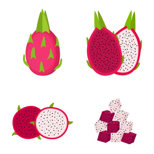 dragon fruit whole half and slices vector image