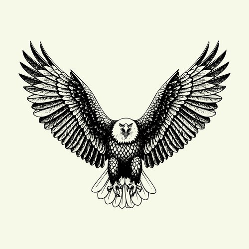 Free Eagle black and white Vector Graphics & Illustrations | VectorStock