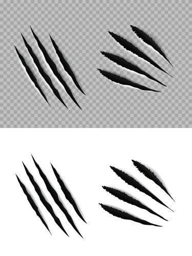 Animal Claw Marks and Scratches Vector Image