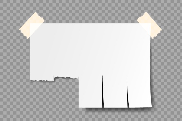 Blank advertisement with tear off tabs v Vector Image
