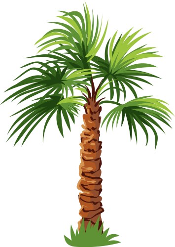 Palm tree Royalty Free Vector Image - VectorStock