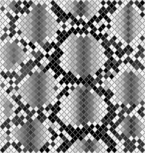 Snake Skin Pattern Vector Images (over 3,400)