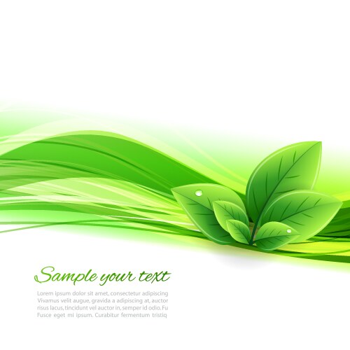 Green leaf ecology on background Royalty Free Vector Image
