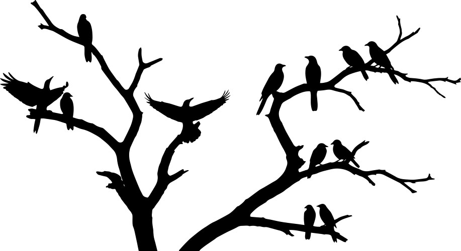 Birds on a bare tree silhouette Vector Image
