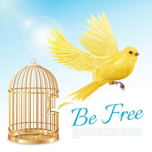 Bird Cage Open Vector Images (over 400)