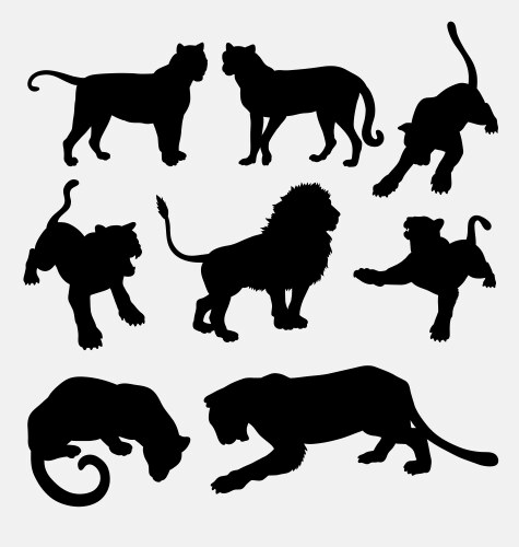 Lion and Tiger Silhouettes Vector Image