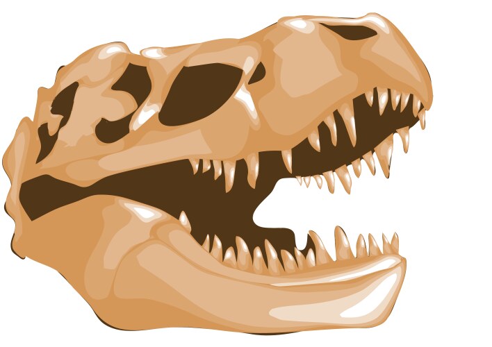 Underground Dinosaur Bones Royalty Free Vector Image