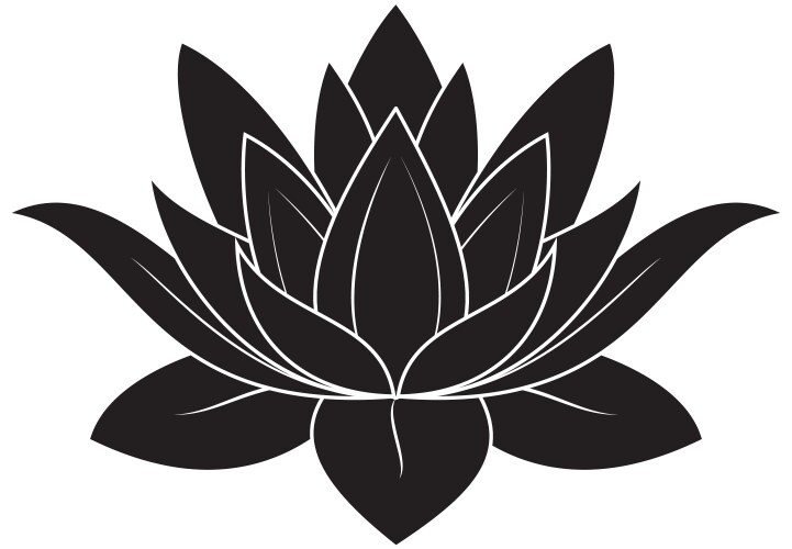 lotus flower vector image vector image