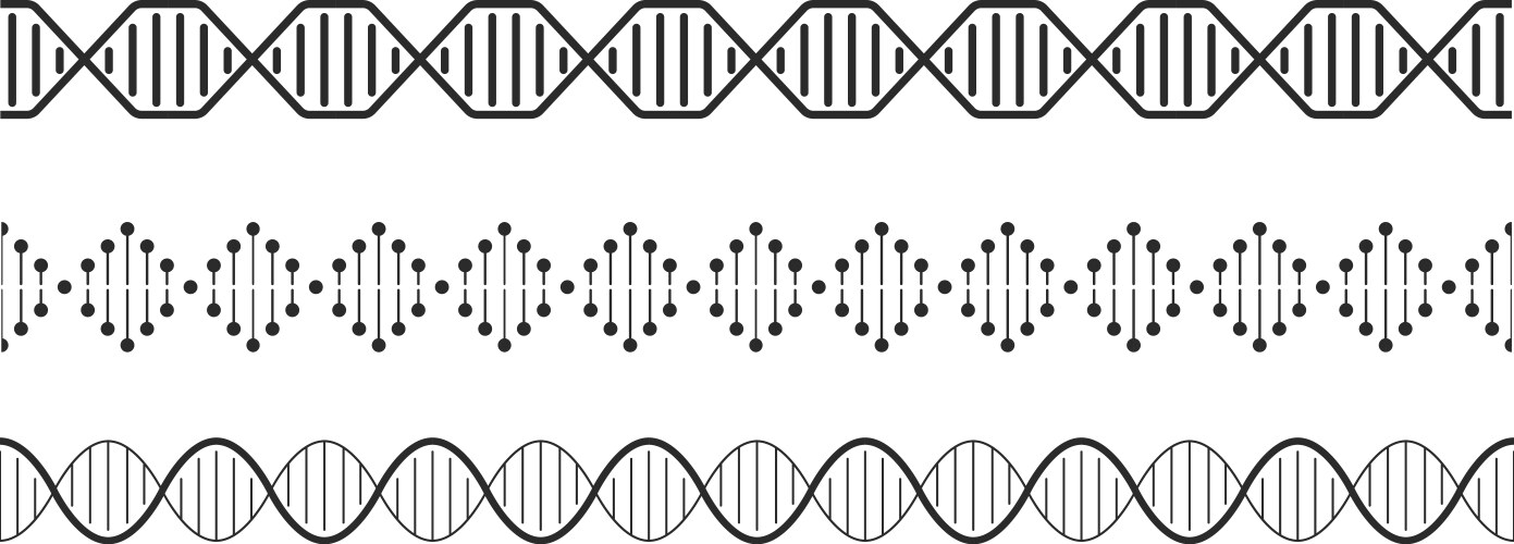 dna elements helix double chromosomes model vector image