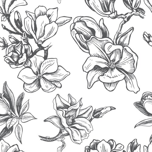 Magnolia Floral Sketch Card Vector Image