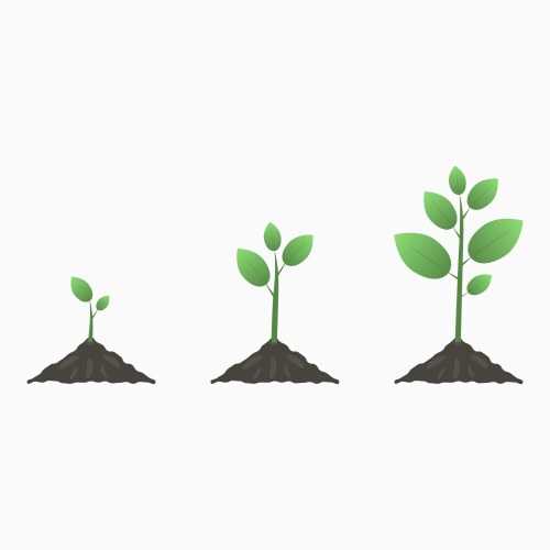 Green Sprout Set Royalty Free Vector Image Vectorstock