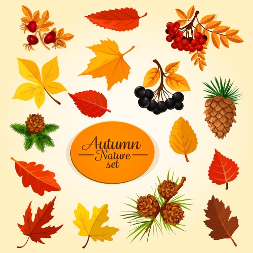 Fruit and vegetables in autumn Royalty Free Vector Image