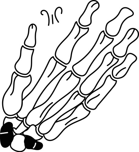 Skeleton hand Royalty Free Vector Image - VectorStock