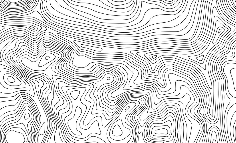 seamless topographic map texture line topography vector image