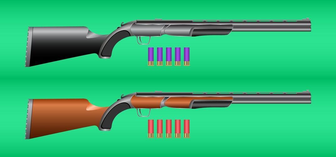 Hunting rifle and cartridges Vector Image