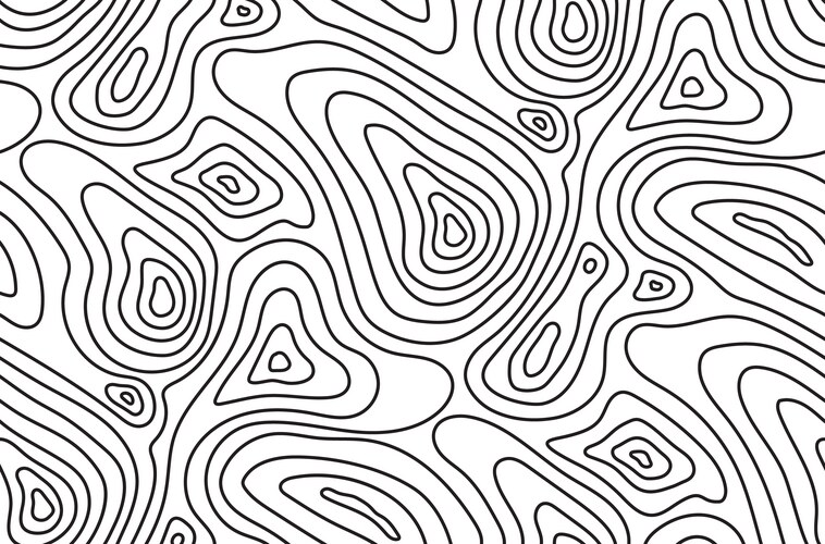 Seamless topographic map texture line topography Vector Image