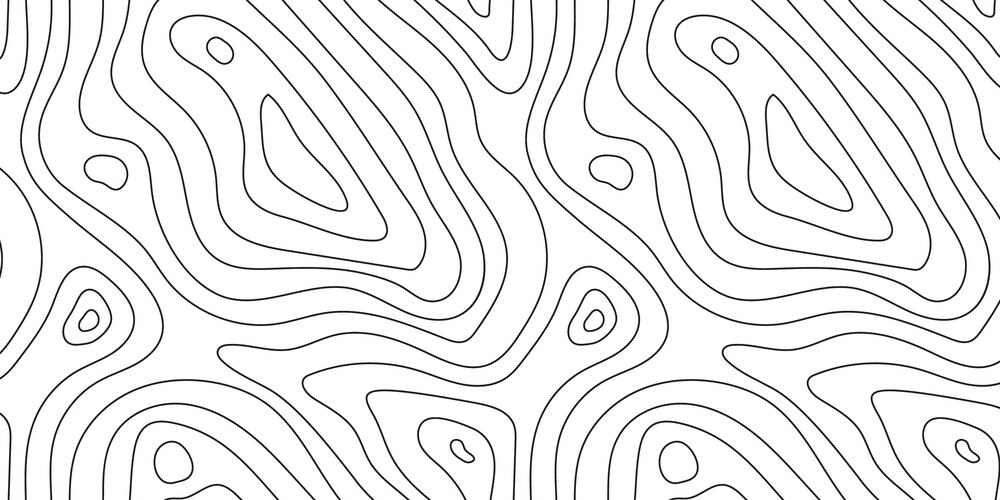 Seamless topographic map texture line topography vector image