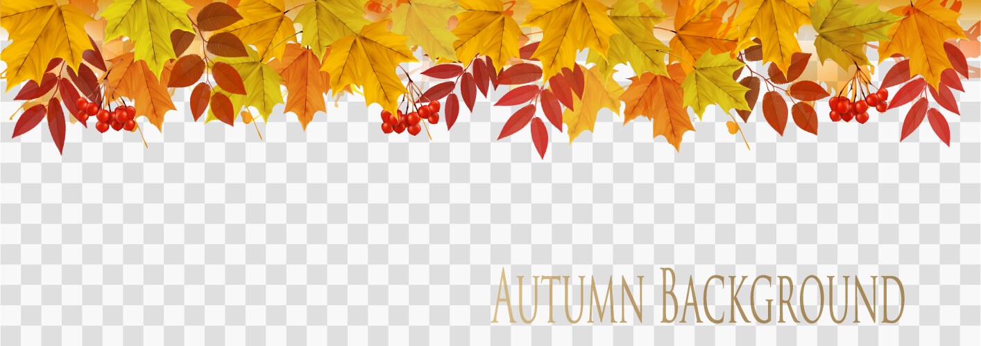 Abstract autumn background with colorful leaves Vector Image