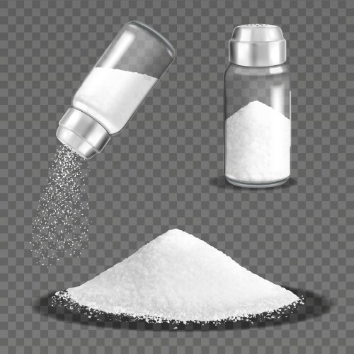 Realistic salt shaker set vector image