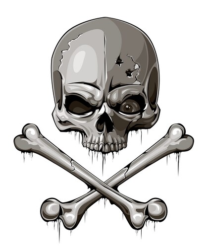 Cracked Skull with Crossed Bones Vector Image