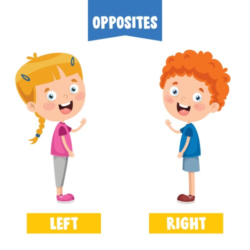 Left and Right Concepts Vector Image