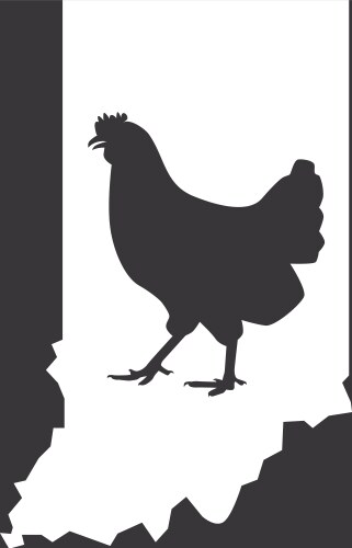 indiana - hen vector image