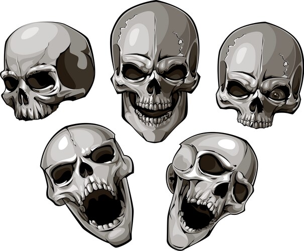 Skull Set - Dark Art Vector Image