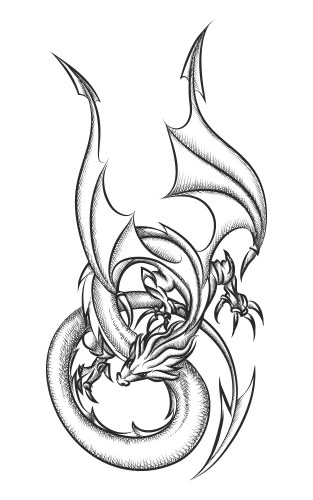 Ink Dragon Artwork Vector Image