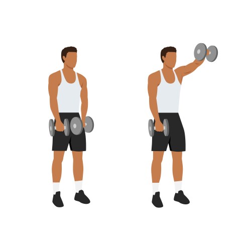 Dumbbell Shoulder Press Vector Images (over 190)