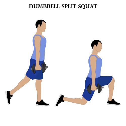 Woman doing dumbbell bicep hammer curls Royalty Free Vector