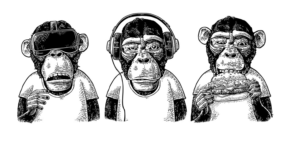 Wise Monkeys VR Vector Image
