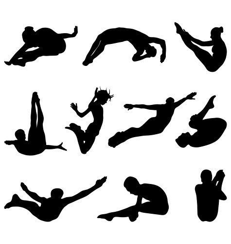 Water Jump Silhouette Vector Image