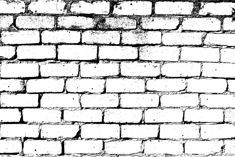 white brick wall vector image