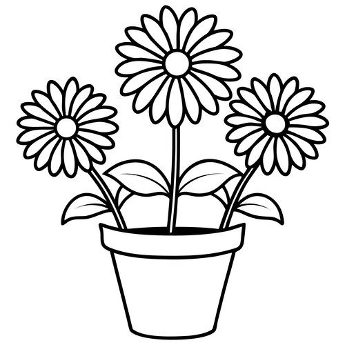 Three Daisy Flowers in Pot Vector Image