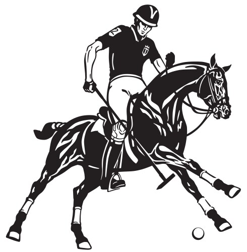 Polo Player on Horse Vector Image