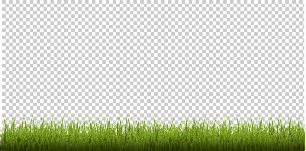 Grass border isolated transparent background Vector Image