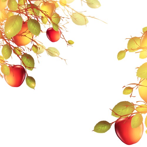 An apple tree Royalty Free Vector Image - VectorStock