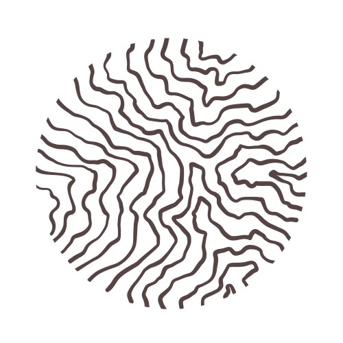 Pattern ornament texture in circle Royalty Free Vector Image