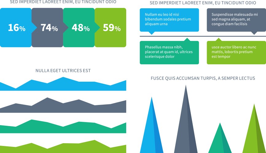 Infographics business presentation flowchart vector image